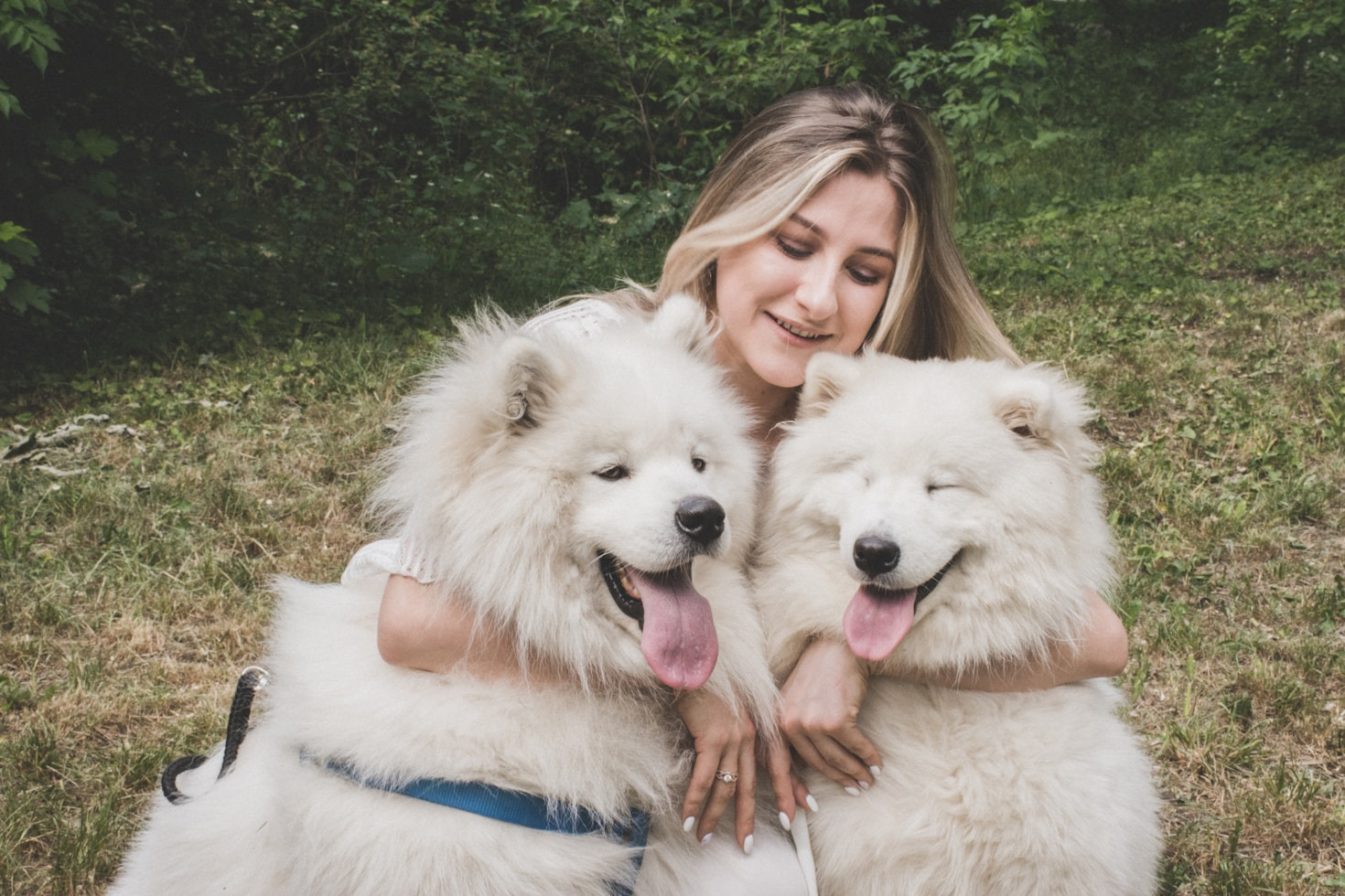 Fetch Pet Care: Trusted In-Home Pet Sitting and Dog Walking Services